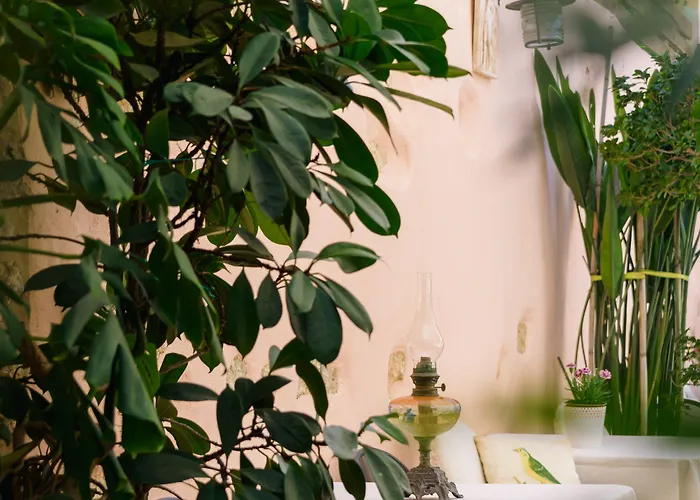 Hotel Casa Di Veneto Hersonissos (Crete)